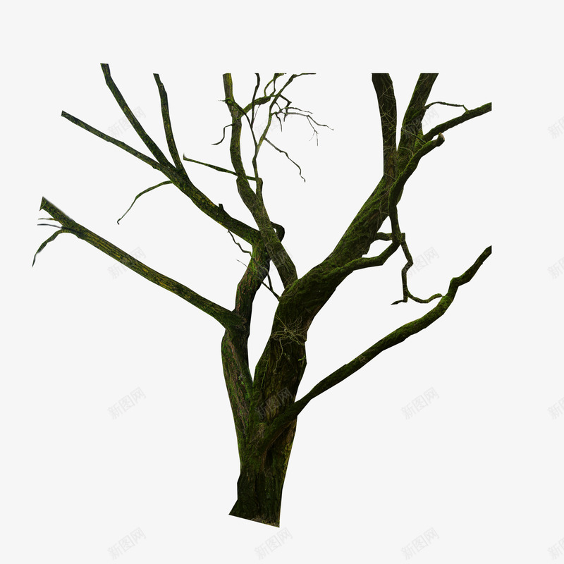 光秃的树干与树枝图标png_新图网 https://ixintu.com 光秃的树干与树枝免扣PNG下载 树 树干 树枝 装饰