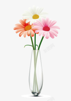 花瓶里的花花瓶里的花高清图片