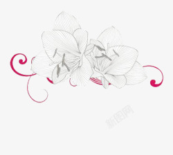 素描花素材