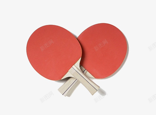 两只乒乓球拍png免抠素材_新图网 https://ixintu.com 乒乓拍 乒乓球 乒乓球拍 体育运动 工具 拍子 球拍 装备