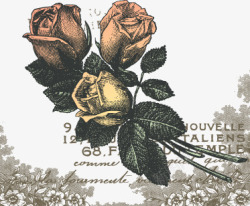 手绘三支玫瑰花素材