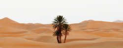 沙丘美丽的沙漠景色高清图片