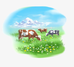 奶牛草地牧场上的奶牛高清图片