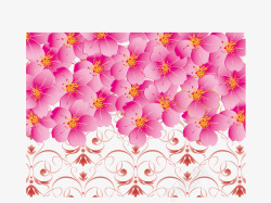 樱花节边框花纹素材