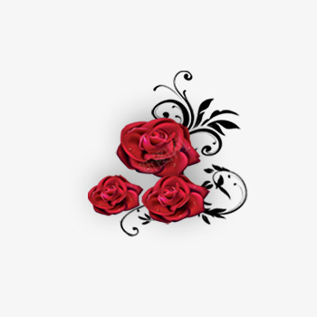三朵玫瑰花png免抠素材_新图网 https://ixintu.com 欧美风 红色 花纹 装饰元素