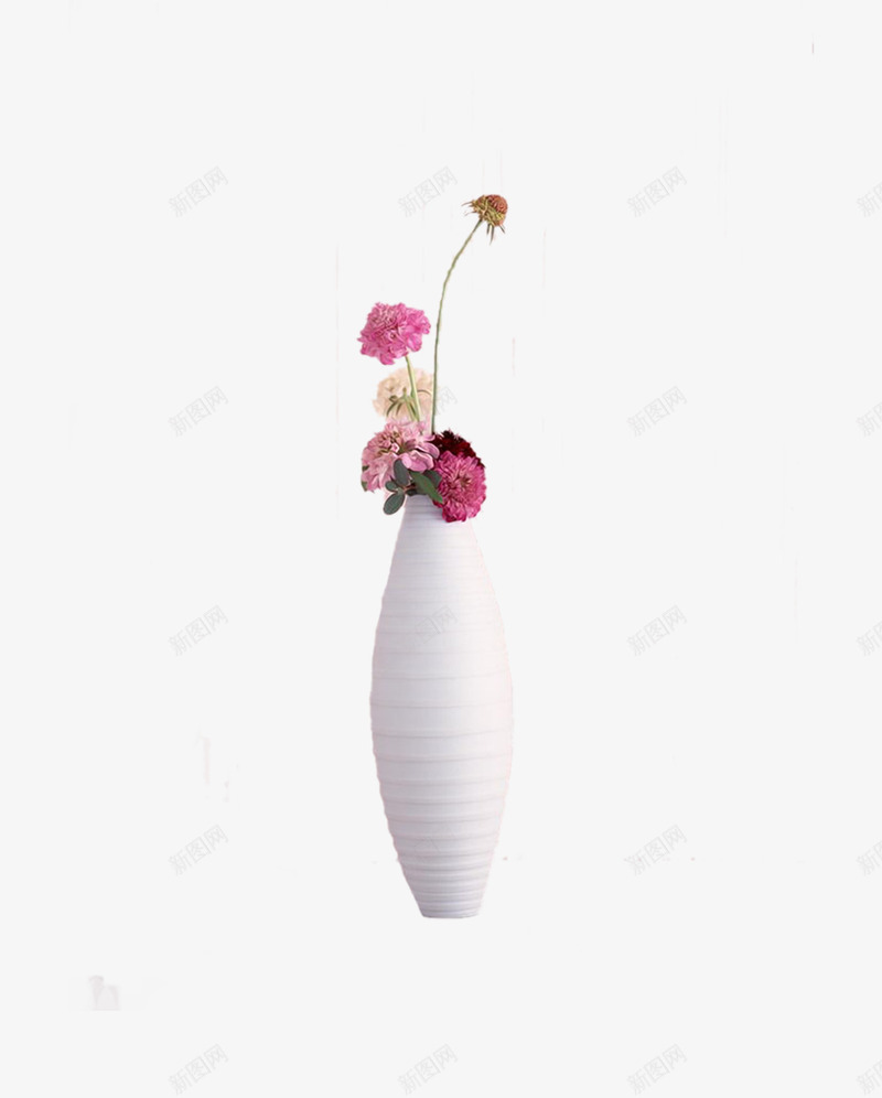 白色花瓶png免抠素材_新图网 https://ixintu.com 摆件 白色 花卉 花瓶