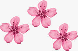 樱花手绘装饰素材