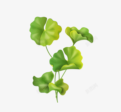 文艺清新花草花环海报装饰png免抠素材_新图网 https://ixintu.com 小清新花草装饰 文艺花草PPT制作 植物插画 海报设计 花草包装礼盒 花草插画 花草装饰 荷花