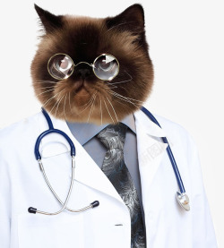 动物猫咪医生素材