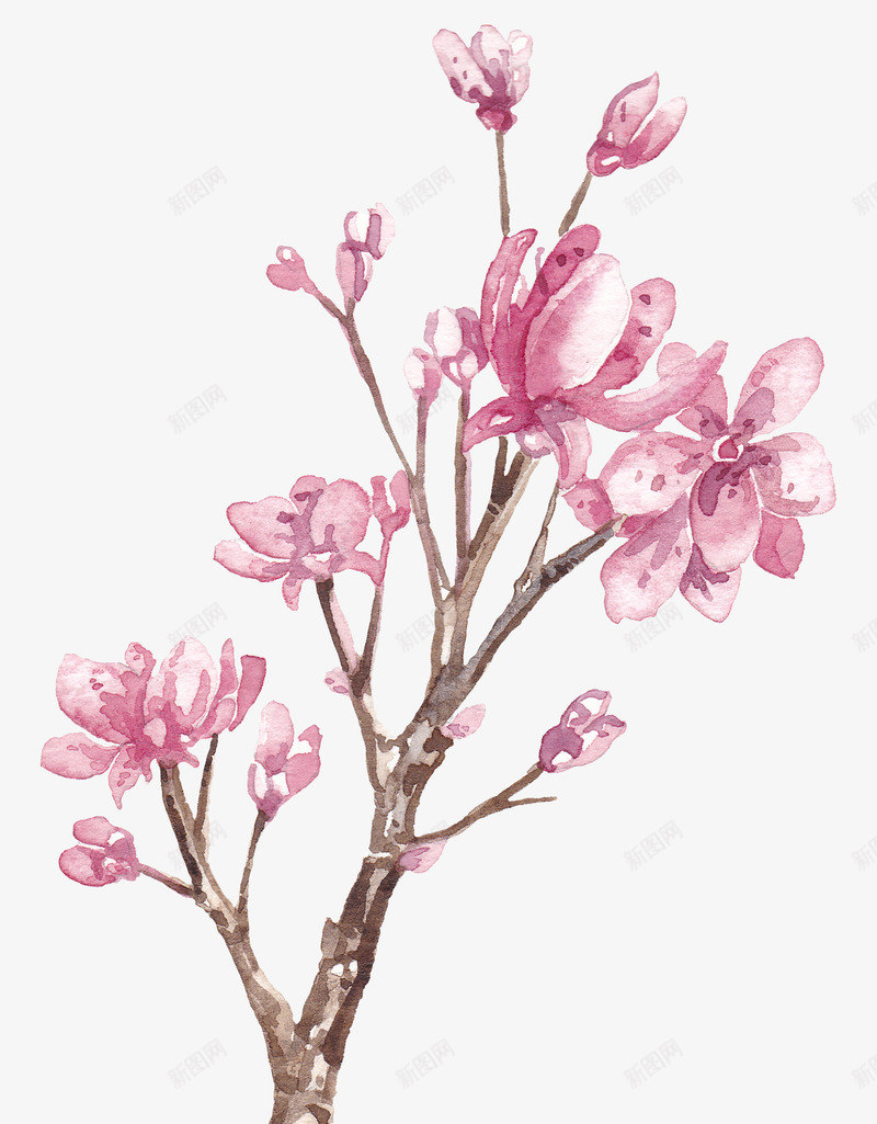 枝干上的花png免抠素材_新图网 https://ixintu.com 卡通 手绘 枝干 棕色 樱花 简图 粉色 花朵