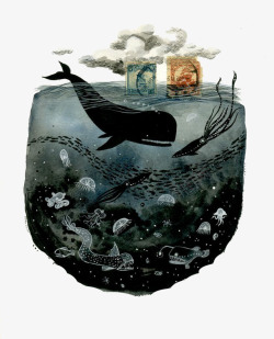 海洋里的鲸鱼等生物与天空白云素材