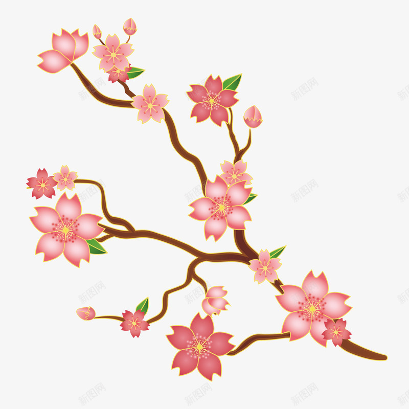 粉红色日本樱花png免抠素材_新图网 https://ixintu.com 日本 植物 樱花 粉红色