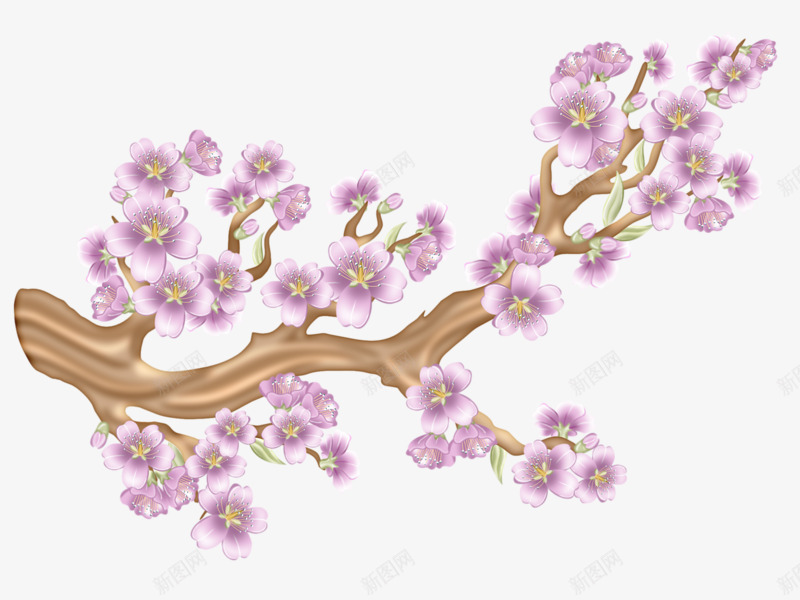树上的樱花png免抠素材_新图网 https://ixintu.com 卡通 树枝 花朵 花瓣