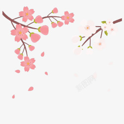 两种颜色手绘樱花素材