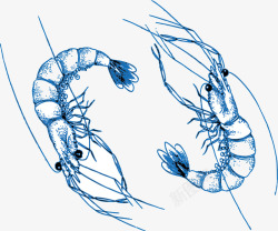 南极虾龙虾图标标识元素矢量图高清图片