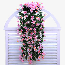 家庭花卉粉色壁挂高清图片