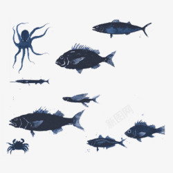 简洁海产品一群鱼的元素高清图片