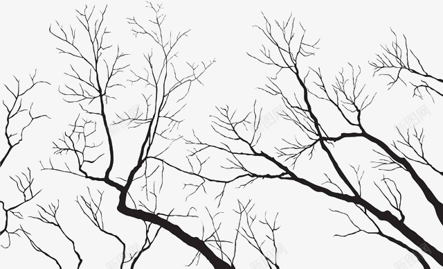 仰视缠绕的树枝图标png_新图网 https://ixintu.com 仰视 枝叶 柳条 树干 树木 树林 树枝 树根 森林 缠绕的树枝