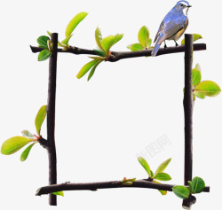树枝边框小鸟素材