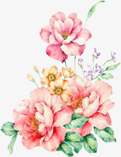 创意合成彩绘花卉植物素材