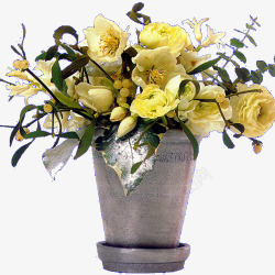 花卉瓶精美花瓶高清图片