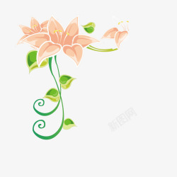 边角标志花纹花卉角标高清图片