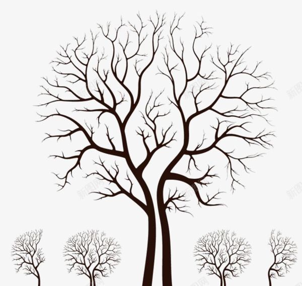 对称线条树png免抠素材_新图网 https://ixintu.com 手绘 棕色 简洁 线条 装饰