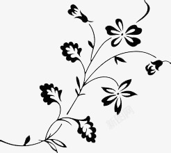 藤蔓黑白花卉高清图片