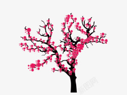 盛开的樱花树樱花树樱花盛开的季节樱花节高清图片