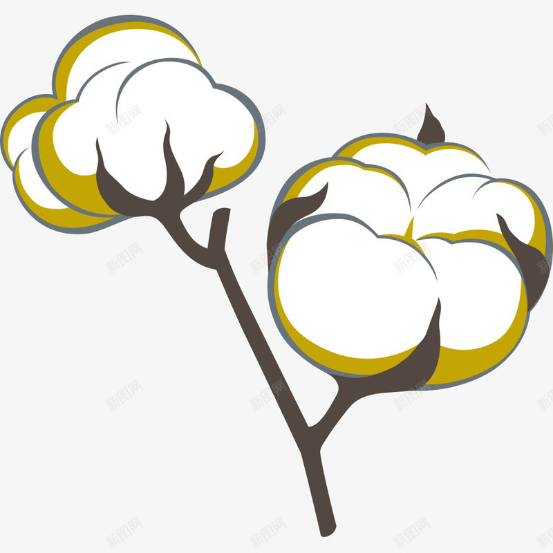 棉花png免抠素材_新图网 https://ixintu.com 棉花 棉花素材 纺织 纺织类 自然 花卉