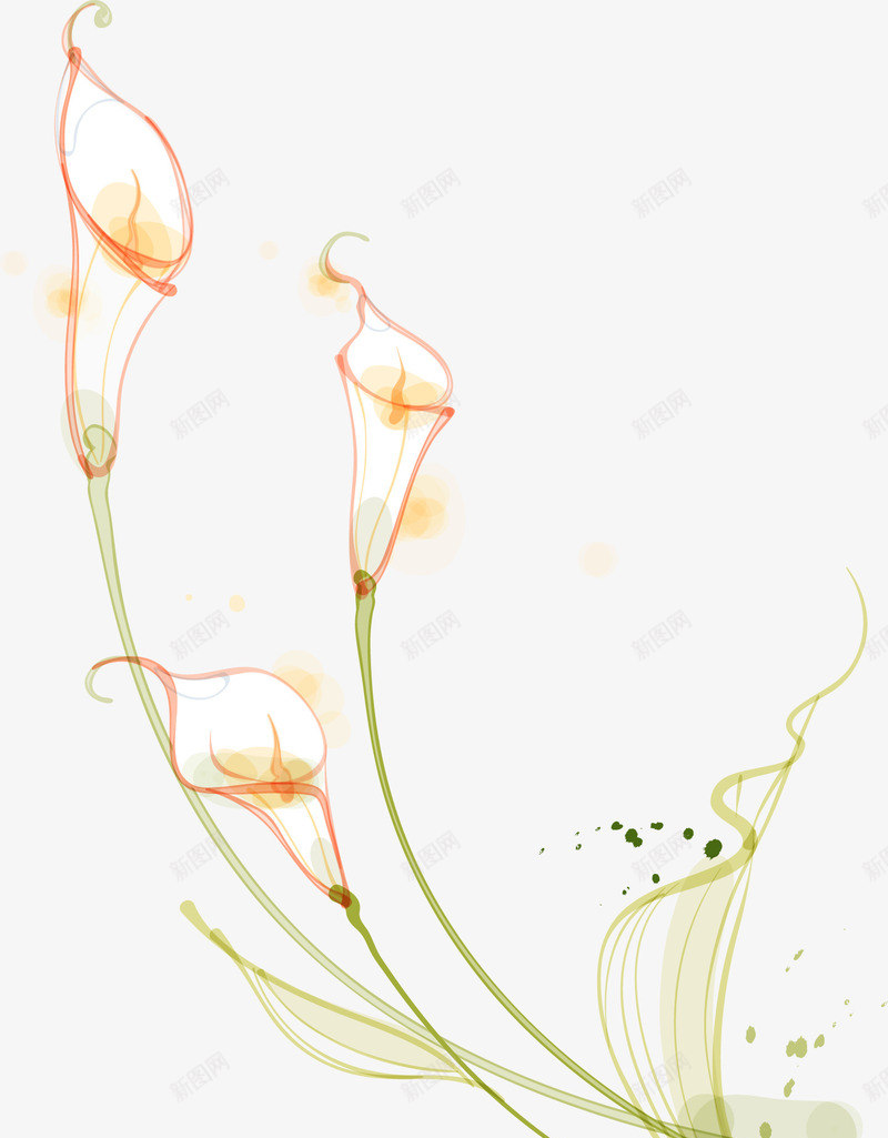 马蹄莲png免抠素材_新图网 https://ixintu.com 花卉 花朵 花束 马蹄莲