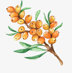 树木果子手绘创意果子食物高清图片