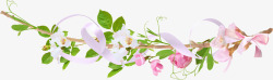 边角花卉素材藤蔓高清图片