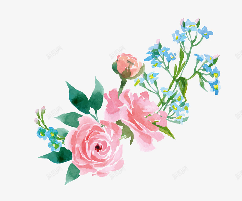 水彩花朵png免抠素材_新图网 https://ixintu.com 水彩植物 粉色花朵 绿叶 花卉 花卉装饰 蓝色花卉