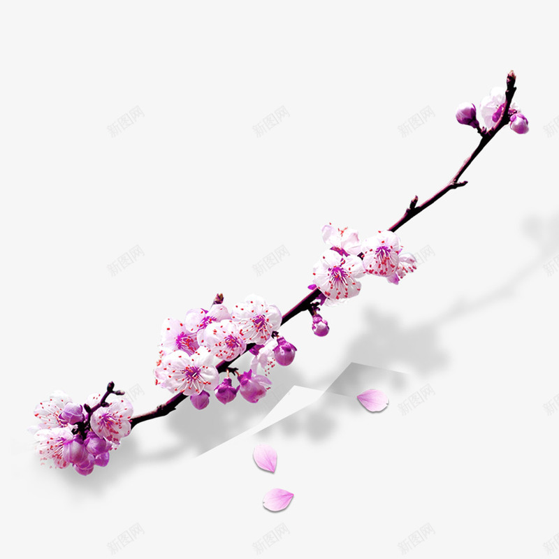 桃花植物psd免抠素材_新图网 https://ixintu.com 枝桠 树枝 粉色 花朵 装饰图案