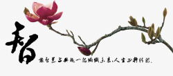 中国风创意智慧植物插画素材