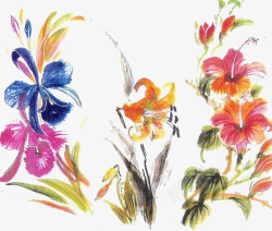 油墨画蘑菇手绘花卉高清图片