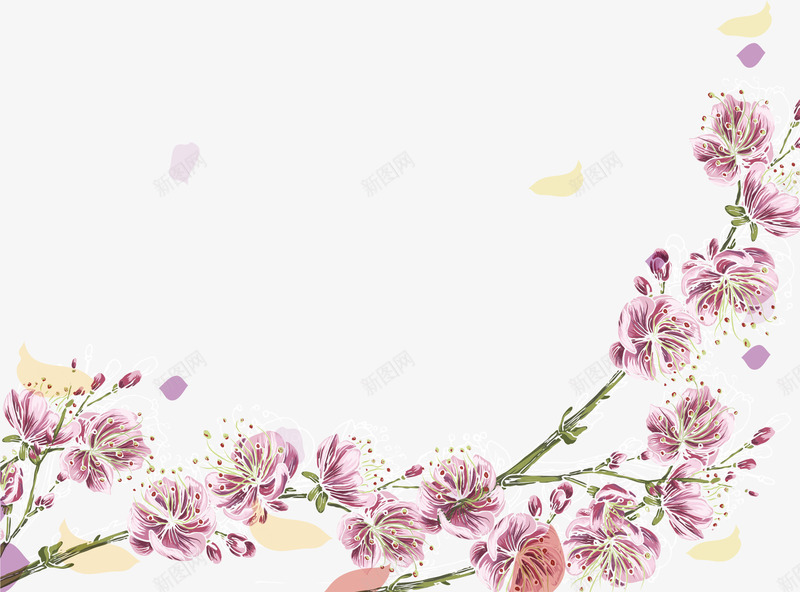 鲜艳的樱花png免抠素材_新图网 https://ixintu.com 春季 樱花 樱花枝 盛开 花枝 花瓣