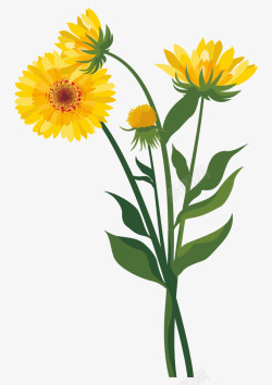 黄色雏菊装饰花卉素材