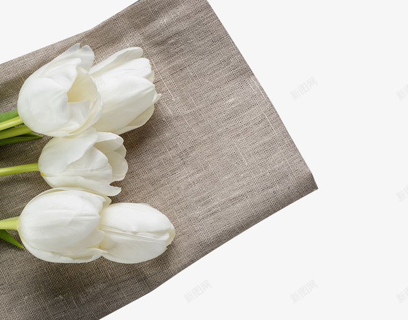 麻布上的白色花卉png免抠素材_新图网 https://ixintu.com 白色 粗麻布 花卉 麻布