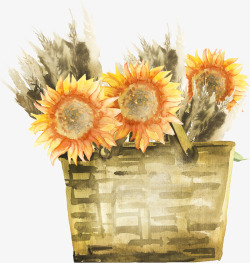 手绘篮子里的向日葵插画素材