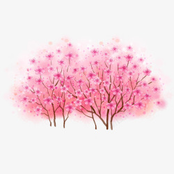 粉红色的樱花素材