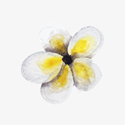 纯洁花朵手绘茉莉高清图片