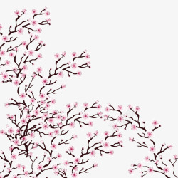 樱花节粉色樱花观赏素材