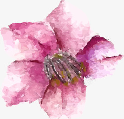 水彩樱花素材