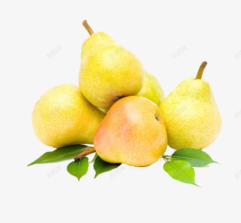 树枝上的梨子png免抠素材_新图网 https://ixintu.com 一串梨子 叶子 新鲜 梨子 水果 黄色的梨