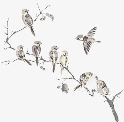 水墨风小鸟树枝上一群小鸟高清图片