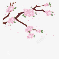 日本粉红樱花素材