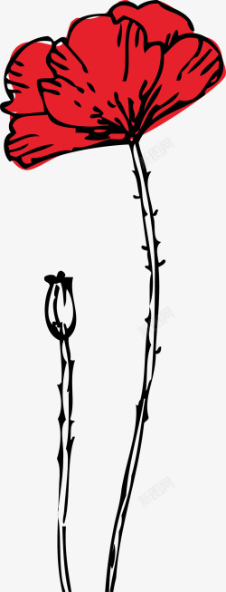 手绘罂粟花植物图矢量图素材