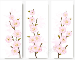 三枝粉色重瓣樱花素材